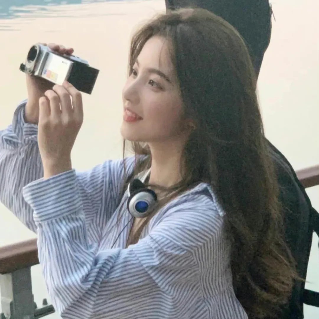 双子谜情 海报
